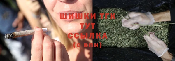 индика Магадан