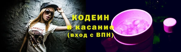 индика Магадан