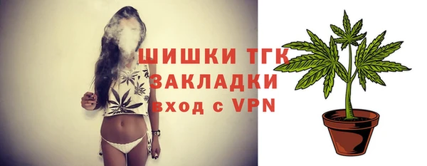 индика Магадан