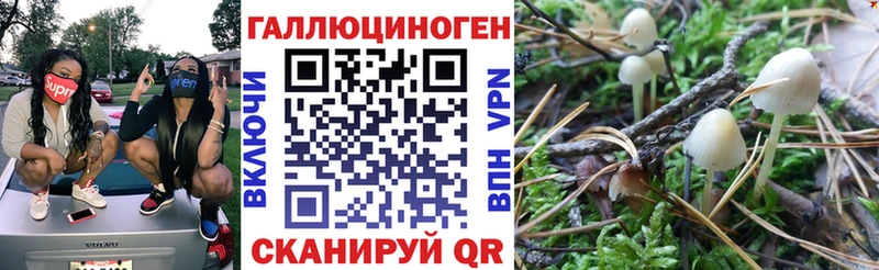 Псилоцибиновые грибы GOLDEN TEACHER  даркнет сайт  Духовщина 